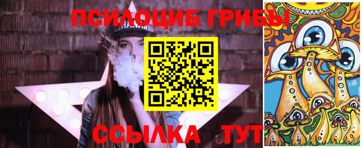 Лиски  Галлюциногенные грибы Psilocybine cubensis  Вход с VPN  Псилоцибиновые грибы мицелий 